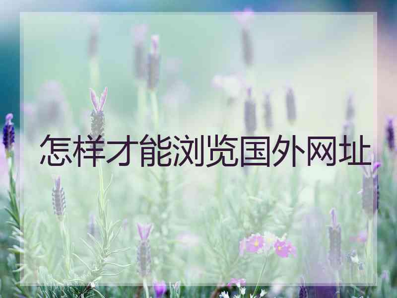 怎样才能浏览国外网址