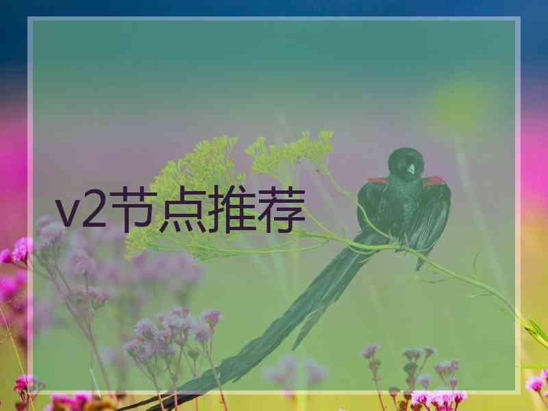 v2节点推荐