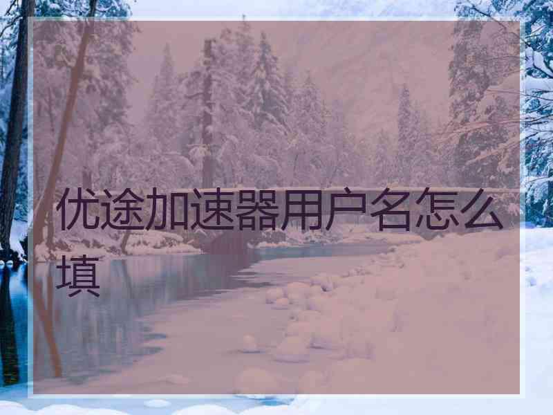 优途加速器用户名怎么填