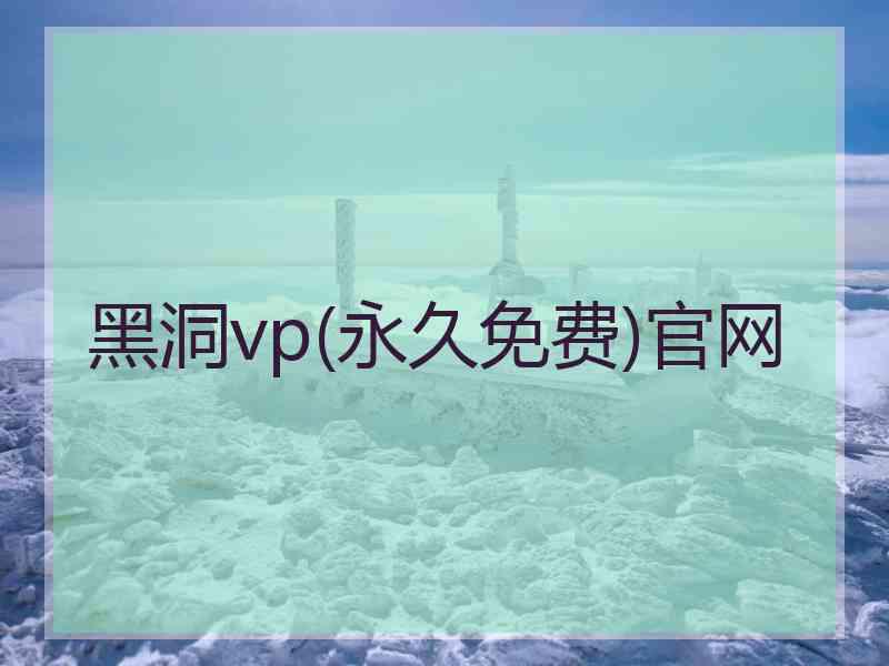 黑洞vp(永久免费)官网