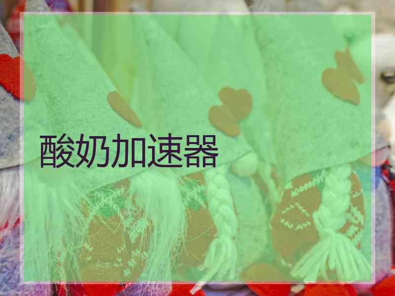 酸奶加速器