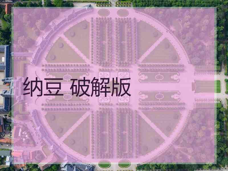 纳豆 破解版