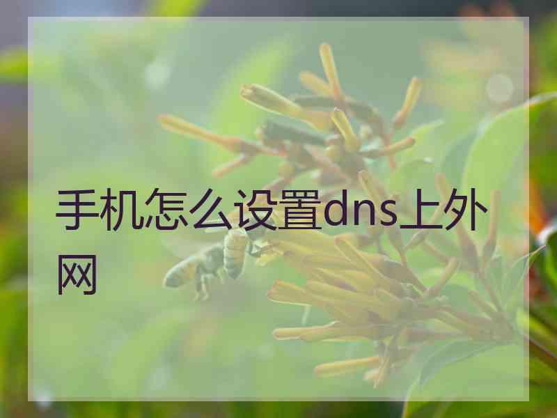 手机怎么设置dns上外网