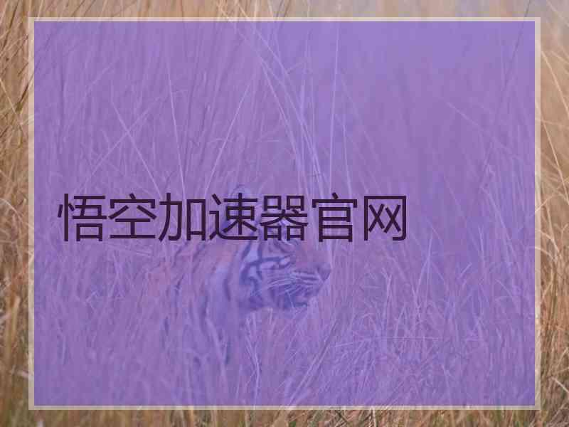 悟空加速器官网