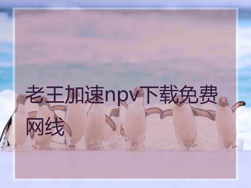 老王加速npv下载免费网线