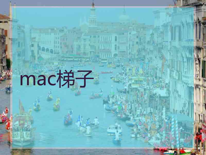 mac梯子