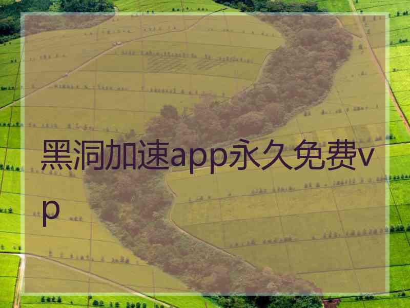 黑洞加速app永久免费vp