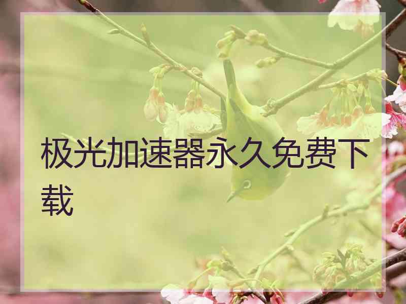 极光加速器永久免费下载