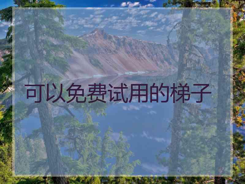 可以免费试用的梯子