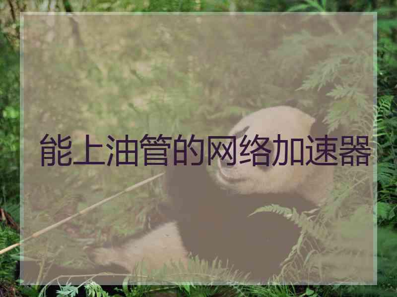 能上油管的网络加速器