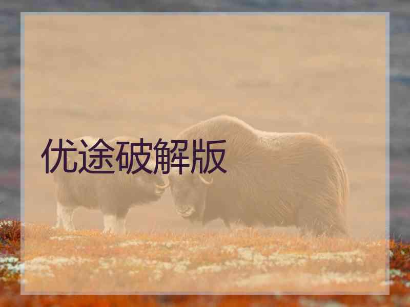 优途破解版