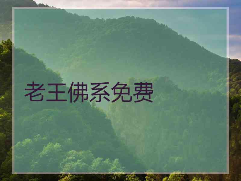 老王佛系免费
