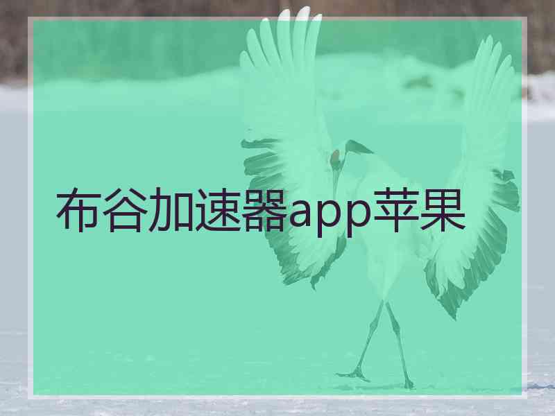 布谷加速器app苹果