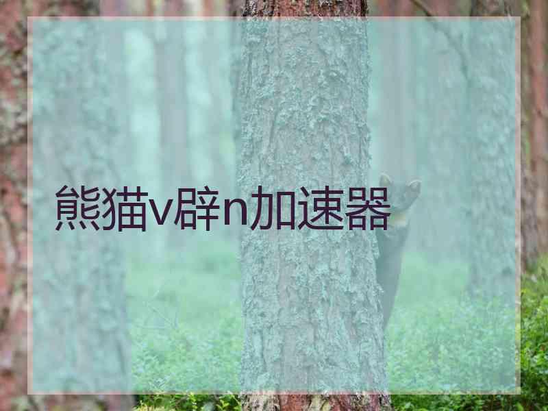 熊猫v辟n加速器