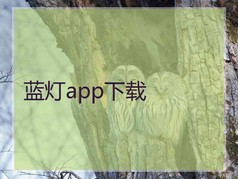 蓝灯app下载