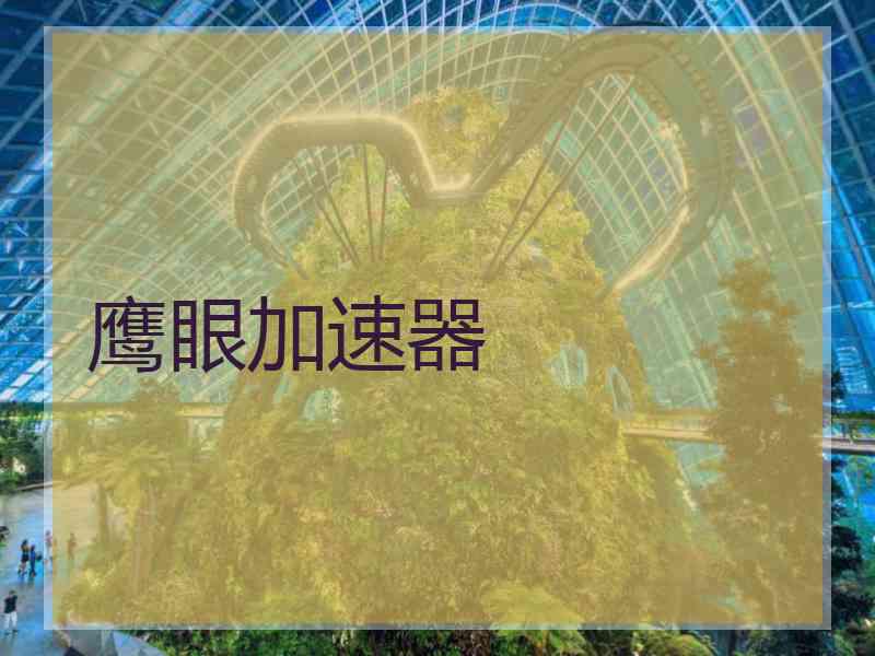 鹰眼加速器