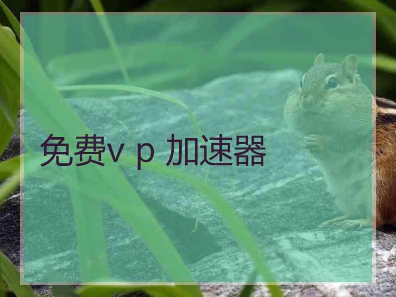 免费v p 加速器