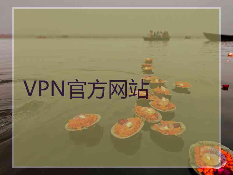VPN官方网站