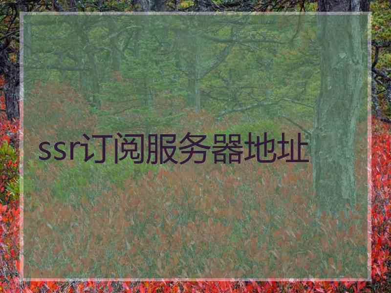 ssr订阅服务器地址