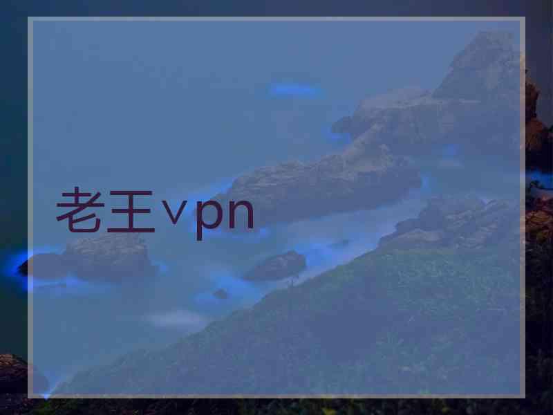 老王∨pn