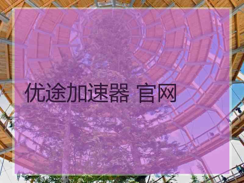 优途加速器 官网