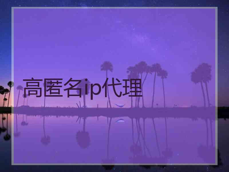 高匿名ip代理