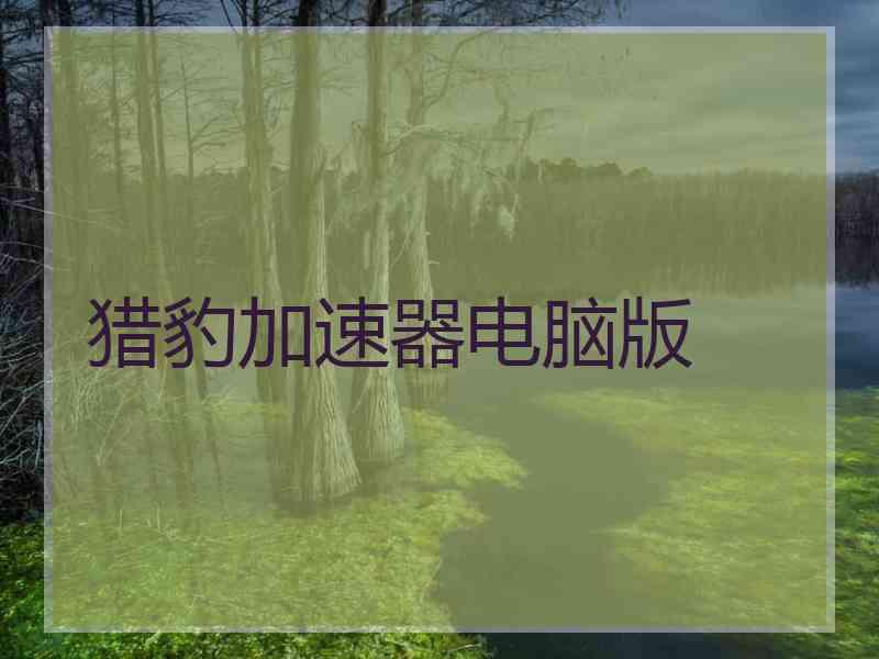 猎豹加速器电脑版