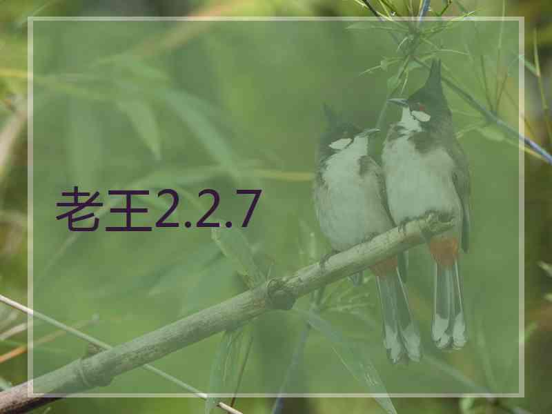 老王2.2.7