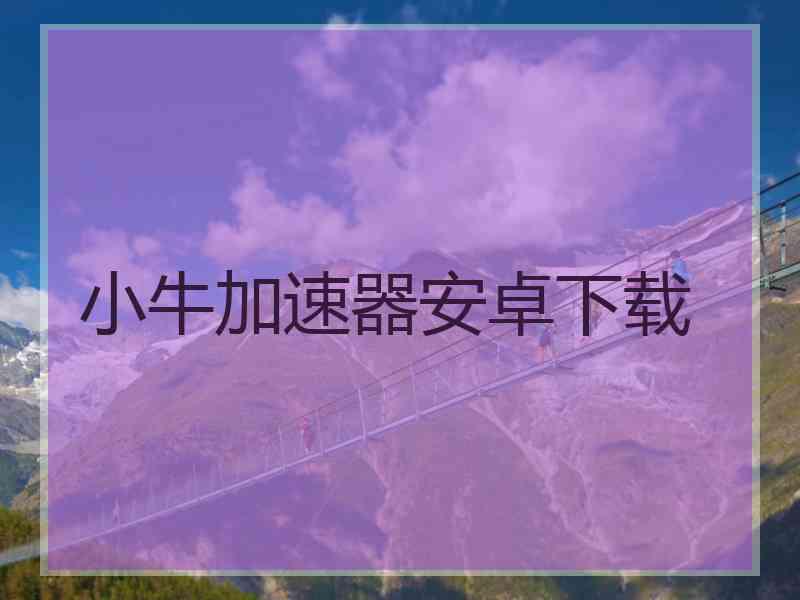 小牛加速器安卓下载
