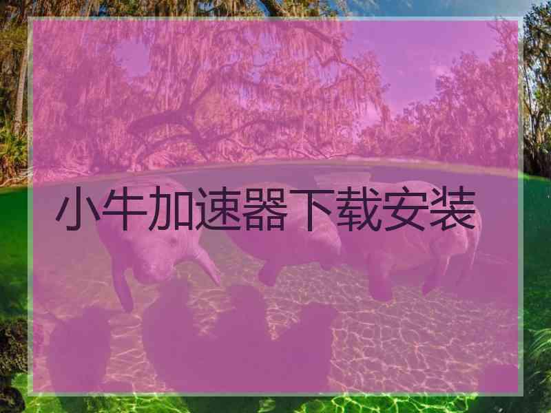 小牛加速器下载安装