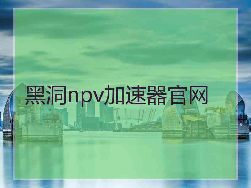 黑洞npv加速器官网