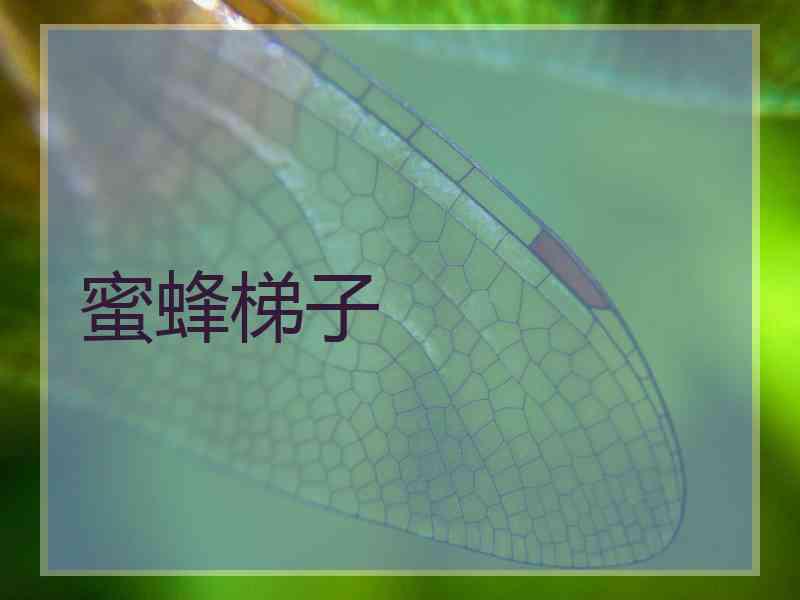 蜜蜂梯子