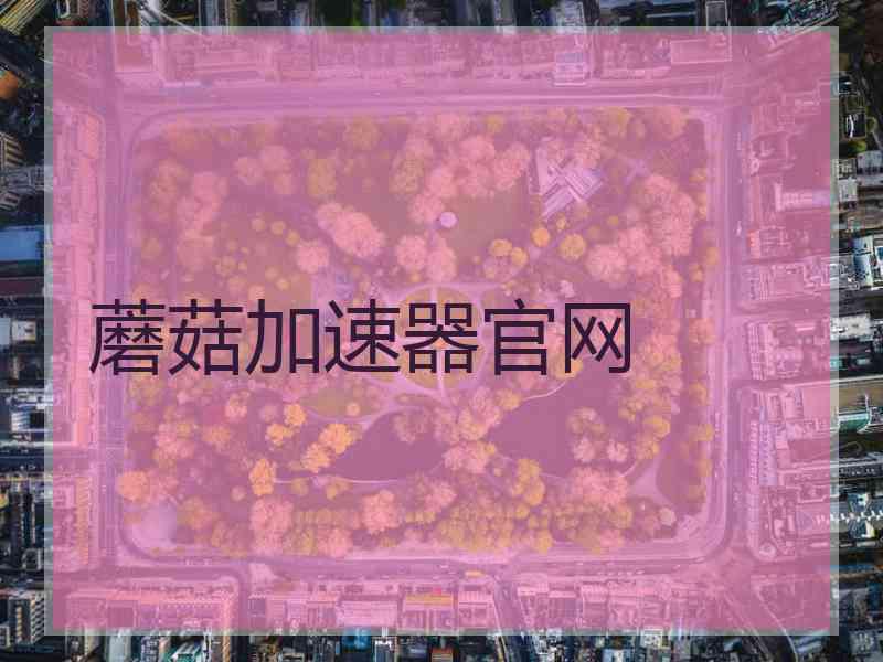 蘑菇加速器官网