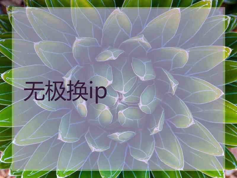 无极换ip