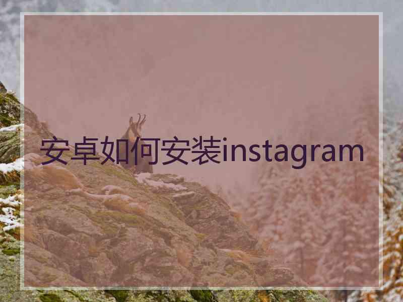 安卓如何安装instagram
