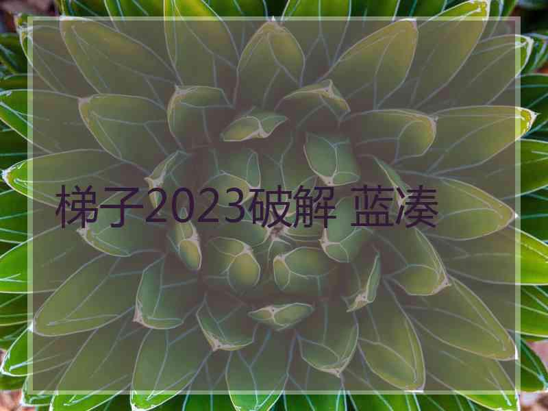 梯子2023破解 蓝凑