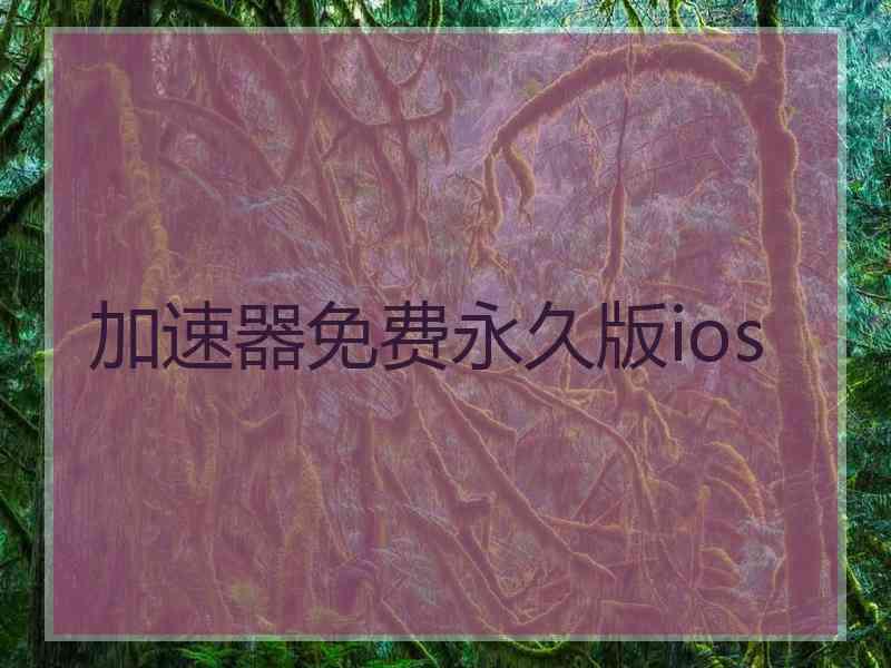 加速器免费永久版ios