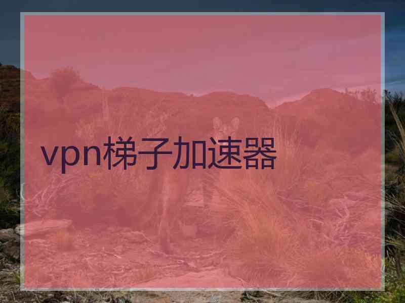 vpn梯子加速器