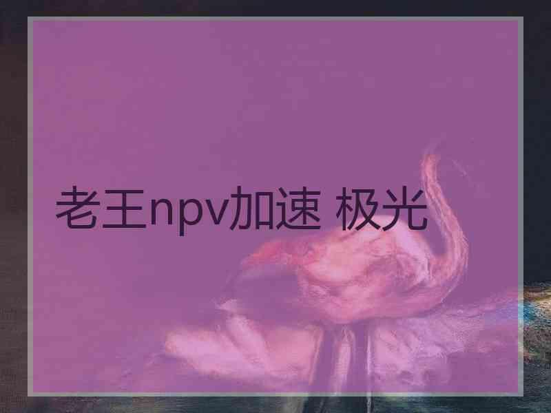 老王npv加速 极光
