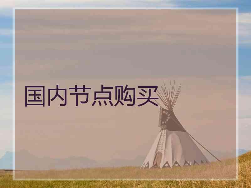 国内节点购买