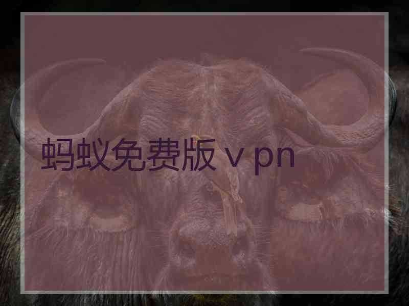 蚂蚁免费版ⅴpn