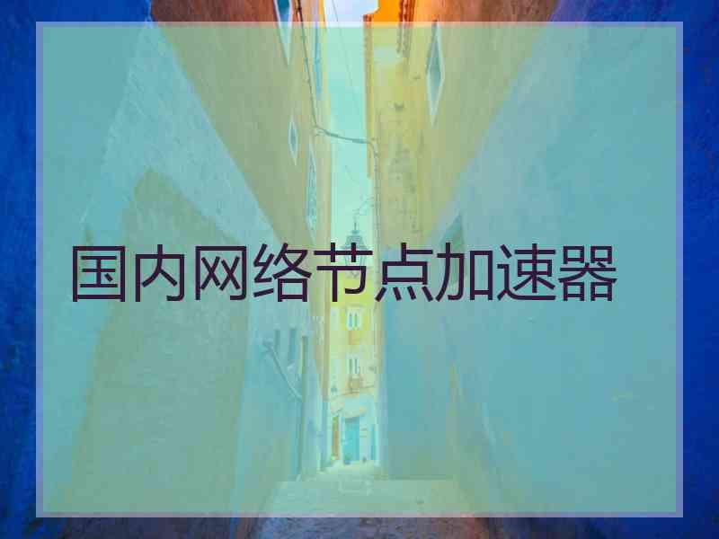 国内网络节点加速器
