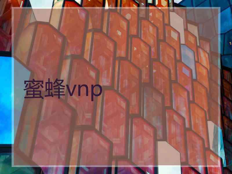 蜜蜂vnp