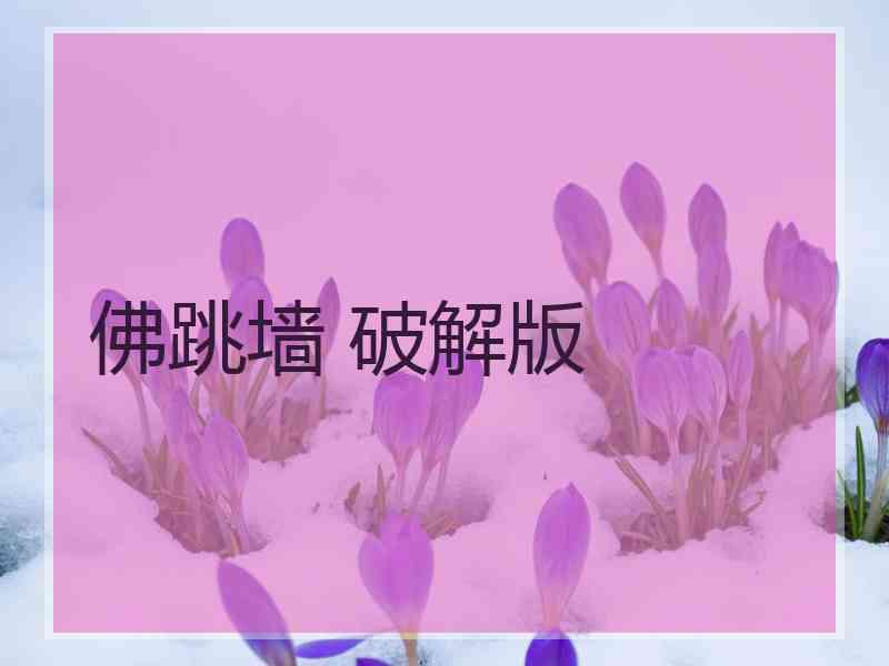 佛跳墙 破解版