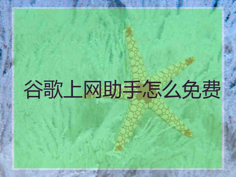 谷歌上网助手怎么免费
