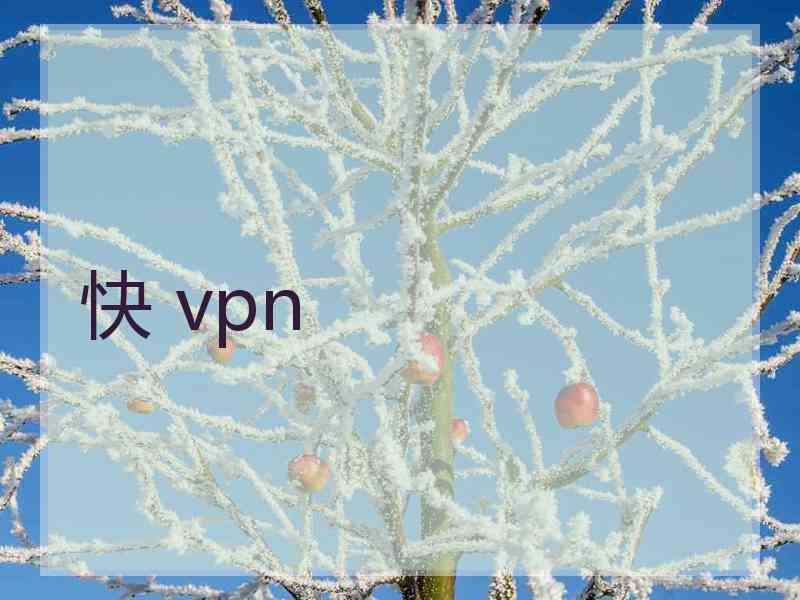 快 vpn