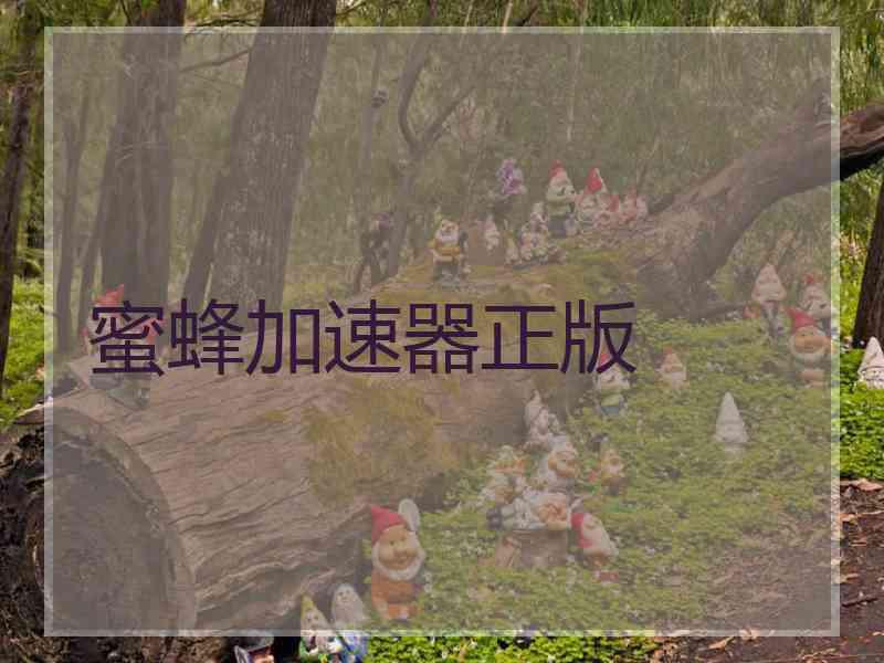 蜜蜂加速器正版