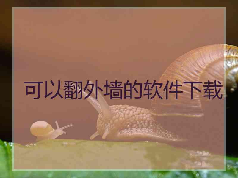 可以翻外墙的软件下载