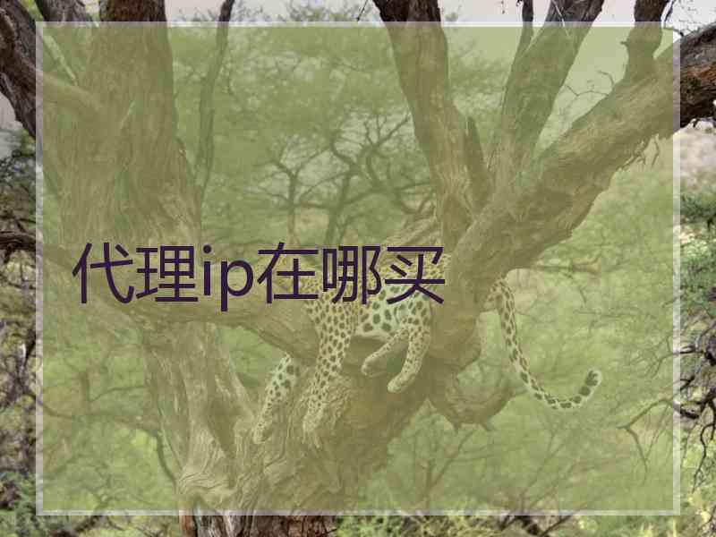 代理ip在哪买