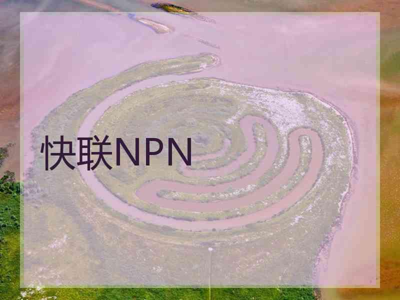 快联NPN